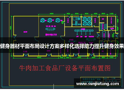 健身器材平面布局设计方案多样化选择助力提升健身效果